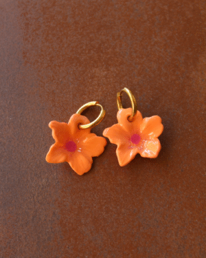Aster - Orange